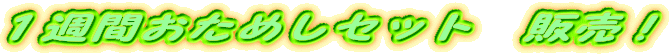 1週間おためしセット 販売!